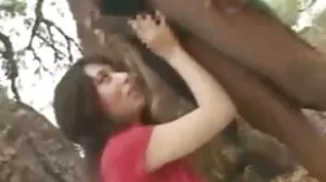 یلیکس