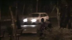 فحش پیشہ میگاہ