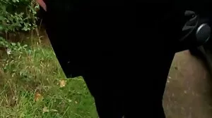 Prett ن ن Petite اور خوبصورت