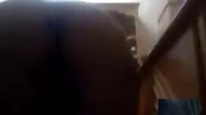 زبردست اور آل ایف اے